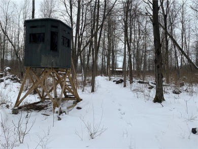 Welcome to this cozy 8 1/2 acre hunter/fishermen retreat located on Andover Golf Course in Ohio - for sale on GolfHomes.com, golf home, golf lot