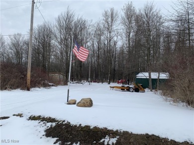 Welcome to this cozy 8 1/2 acre hunter/fishermen retreat located on Andover Golf Course in Ohio - for sale on GolfHomes.com, golf home, golf lot