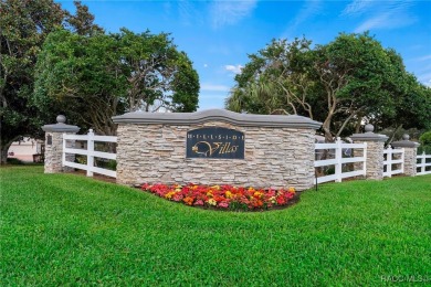 MOTIVATED SELLERS! They already purchased another home so they on Skyview At Terra Vista Golf and Country Club in Florida - for sale on GolfHomes.com, golf home, golf lot