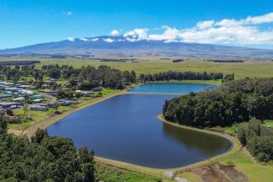 Single-Level Home in up-country Kamuela Lakeland, roughly 5 on Waimea Country Club in Hawaii - for sale on GolfHomes.com, golf home, golf lot
