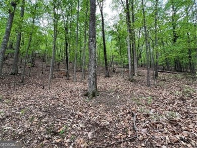 Building Lot in Big Canoe - Priced to Sell! Here's your chance on Big Canoe Golf Club - Cherokee in Georgia - for sale on GolfHomes.com, golf home, golf lot