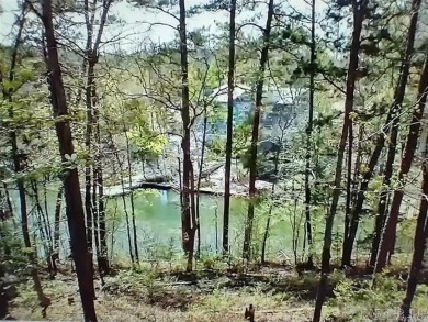 Lake Balboa View and Common area access to the lake! Shy 1/2 on Ponce De Leon Golf Course in Arkansas - for sale on GolfHomes.com, golf home, golf lot