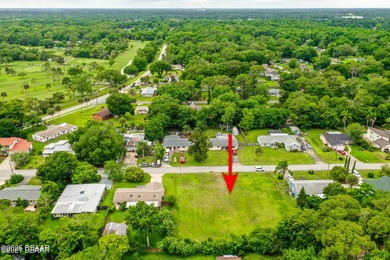 ORMOND BEACH LARGE OVERSIZED DOUBLE LOT GIVES YOU LOT OF SPACE on Riviera Country Club in Florida - for sale on GolfHomes.com, golf home, golf lot