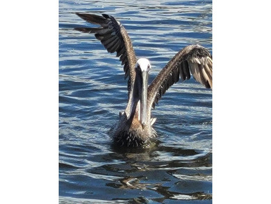 Build your Southwest Florida waterfront dream home on this on Burnt Store Golf Club in Florida - for sale on GolfHomes.com, golf home, golf lot