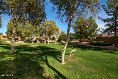 Beautifully updated home in the desirable 55+ Trilogy at Power on Trilogy Golf Club At Power Ranch in Arizona - for sale on GolfHomes.com, golf home, golf lot