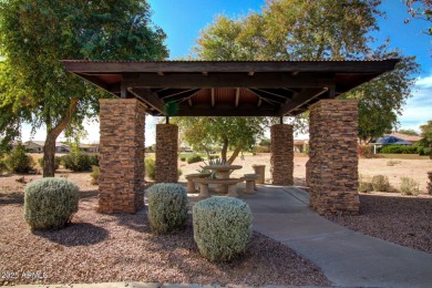 Beautifully updated home in the desirable 55+ Trilogy at Power on Trilogy Golf Club At Power Ranch in Arizona - for sale on GolfHomes.com, golf home, golf lot