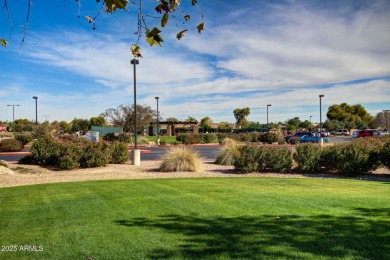Beautifully updated home in the desirable 55+ Trilogy at Power on Trilogy Golf Club At Power Ranch in Arizona - for sale on GolfHomes.com, golf home, golf lot