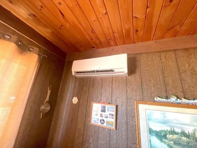 Eagle Bay Cabin - Lake Life Without the Hassle! Enjoy all the on Eagle View Golf Course, Inc. in Minnesota - for sale on GolfHomes.com, golf home, golf lot