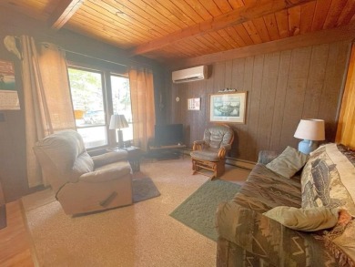 Eagle Bay Cabin - Lake Life Without the Hassle! Enjoy all the on Eagle View Golf Course, Inc. in Minnesota - for sale on GolfHomes.com, golf home, golf lot