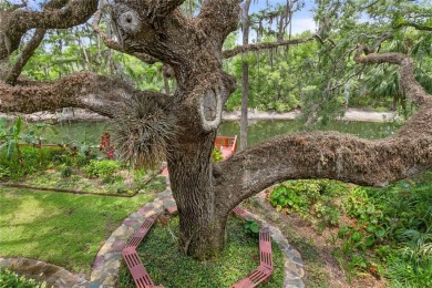One or more photo(s) has been virtually staged. Welcome to this on Temple Terrace Golf and Country Club in Florida - for sale on GolfHomes.com, golf home, golf lot