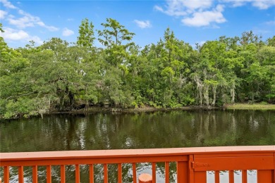 One or more photo(s) has been virtually staged. Welcome to this on Temple Terrace Golf and Country Club in Florida - for sale on GolfHomes.com, golf home, golf lot