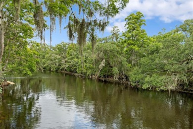 One or more photo(s) has been virtually staged. Welcome to this on Temple Terrace Golf and Country Club in Florida - for sale on GolfHomes.com, golf home, golf lot