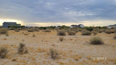 Priced at $39,900 each for a total of four, approximately one on Mt. Graham Municipal Golf Course in Arizona - for sale on GolfHomes.com, golf home, golf lot