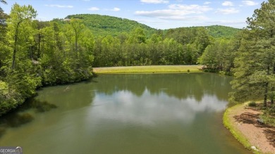 Bring your plans & build your dream home! Gorgeous lot on the on The Orchard Golf and Country Club in Georgia - for sale on GolfHomes.com, golf home, golf lot