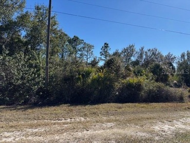 Discover the perfect opportunity to create your Southwest on Seminole Lakes Country Club in Florida - for sale on GolfHomes.com, golf home, golf lot