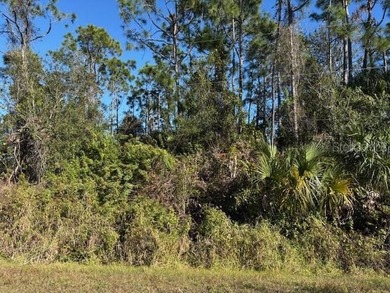 These two pond-front lots together create an exceptional on Seminole Lakes Country Club in Florida - for sale on GolfHomes.com, golf home, golf lot