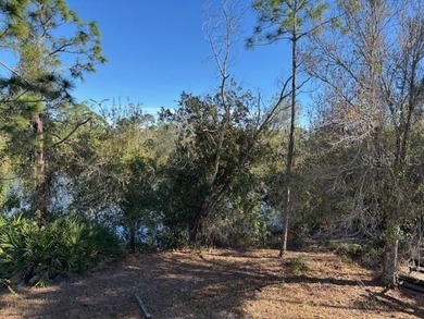 These two pond-front lots together create an exceptional on Seminole Lakes Country Club in Florida - for sale on GolfHomes.com, golf home, golf lot