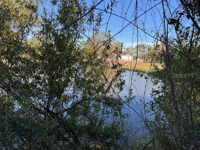 These two pond-front lots together create an exceptional on Seminole Lakes Country Club in Florida - for sale on GolfHomes.com, golf home, golf lot