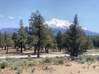 Nice size lot with a great view of Mount Shasta; Neighborhood on Lake Shastina Golf Course in California - for sale on GolfHomes.com, golf home, golf lot
