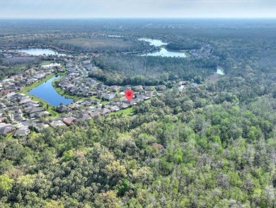 Excellent VALUE on this BEAUTIFUL CONSERVATION LOT HOME with the on Stonegate Golf Club in Florida - for sale on GolfHomes.com, golf home, golf lot