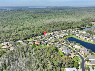 Excellent VALUE on this BEAUTIFUL CONSERVATION LOT HOME with the on Stonegate Golf Club in Florida - for sale on GolfHomes.com, golf home, golf lot