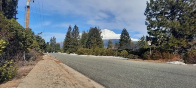 This is a unique opportunity to invest in one of the 3 remaining on Mount Shasta Resort in California - for sale on GolfHomes.com, golf home, golf lot