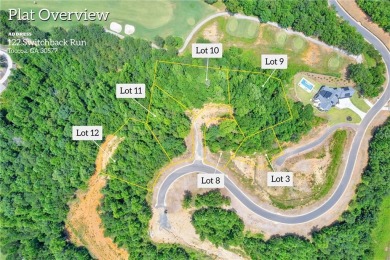 The view from 122 Switchback Run is truly stunning. The on Currahee Golf Club in Georgia - for sale on GolfHomes.com, golf home, golf lot