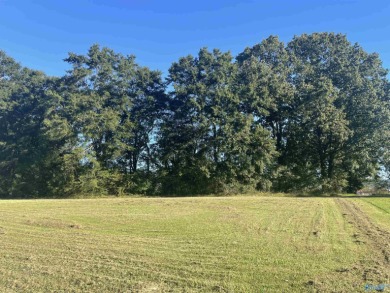 ATTALLA COUNTRY CLUB- Awesome level building lot near the on Wills Creek Country Club in Alabama - for sale on GolfHomes.com, golf home, golf lot