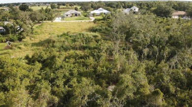 This is the perfect cleared lot to build your dream home on Sunnybreeze Golf Course in Florida - for sale on GolfHomes.com, golf home, golf lot