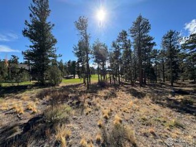 MAJOR PRICE REDUCTION! Great Location and a Wonderful Building on Fox Acres Country Club in Colorado - for sale on GolfHomes.com, golf home, golf lot