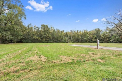 Welcome to the Market...Stunning Acadian style home located in on Beaver Creek Golf Club in Louisiana - for sale on GolfHomes.com, golf home, golf lot