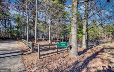 Welcome to your perfect canvas! This prime lot is nestled in a on Harbor Club Golf and Country Club in Georgia - for sale on GolfHomes.com, golf home, golf lot