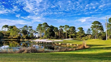 Are you looking for the perfect lot to build your future home? on St. James Bay in Florida - for sale on GolfHomes.com, golf home, golf lot