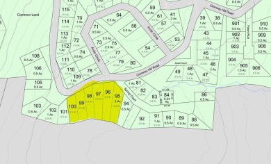 Merged Triple Lot on the Hill! Recent soil tests say this looks on Hermitage Club Golf Course in Vermont - for sale on GolfHomes.com, golf home, golf lot