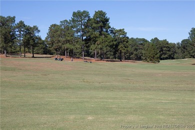 GORGEOUS FIVE-BEDROOM HOME IN CAROLINA LAKES! Don't miss out on on Carolina Lakes Country Club in North Carolina - for sale on GolfHomes.com, golf home, golf lot