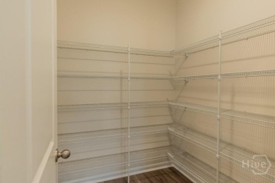 SPECIAL INTEREST RATES AND ADDTL INCENTIVES AVAILABLE! QUICK on Savannah Quarters Country Club in Georgia - for sale on GolfHomes.com, golf home, golf lot