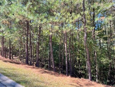 Level lot in Mount Vintage Plantation. 1.16 acres ready for your on Mount Vintage Plantation and Golf Club  in South Carolina - for sale on GolfHomes.com, golf home, golf lot