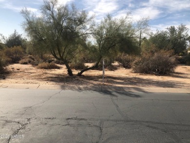 Nice size lot in a very quiet neighborhood. Build when ready on Tonto Verde Golf Club in Arizona - for sale on GolfHomes.com, golf home, golf lot