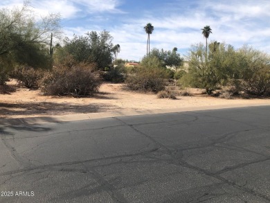 Nice size lot in a very quiet neighborhood. Build when ready on Tonto Verde Golf Club in Arizona - for sale on GolfHomes.com, golf home, golf lot