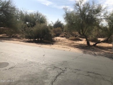 Nice size lot in a very quiet neighborhood. Build when ready on Tonto Verde Golf Club in Arizona - for sale on GolfHomes.com, golf home, golf lot