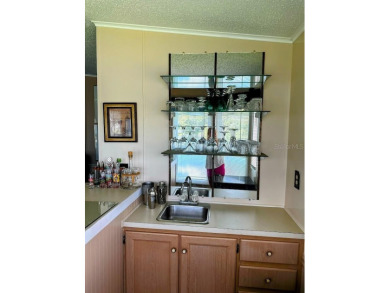 Welcome to Paradise! Paradise island is a 55+ active community on Fairway Village Golf Course in Florida - for sale on GolfHomes.com, golf home, golf lot