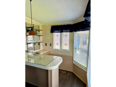 Welcome to Paradise! Paradise island is a 55+ active community on Fairway Village Golf Course in Florida - for sale on GolfHomes.com, golf home, golf lot