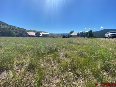 Trisha Taylor, RE/MAX Pinnacle, C: , trisha,  : This Fairway on Rio Grande Golf Club in Colorado - for sale on GolfHomes.com, golf home, golf lot