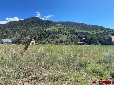 Trisha Taylor, RE/MAX Pinnacle, C: , trisha,  : This Fairway on Rio Grande Golf Club in Colorado - for sale on GolfHomes.com, golf home, golf lot