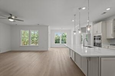 Discover Southern elegance in this exquisite Wescott Elevation A on Woodside Plantation Country Club in South Carolina - for sale on GolfHomes.com, golf home, golf lot