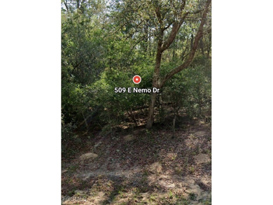 Location! Location! Location! This nearly 1/4 acre lot is on Citrus Springs Country Club in Florida - for sale on GolfHomes.com, golf home, golf lot
