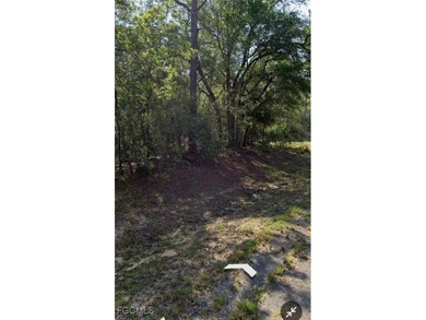 Location! Location! Location! This nearly 1/4 acre lot is on Citrus Springs Country Club in Florida - for sale on GolfHomes.com, golf home, golf lot