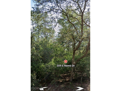 Location! Location! Location! This nearly 1/4 acre lot is on Citrus Springs Country Club in Florida - for sale on GolfHomes.com, golf home, golf lot