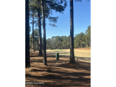 Wonderfully located lot on the 11th hole of the North golf on Forest Creek Golf Club  in North Carolina - for sale on GolfHomes.com, golf home, golf lot