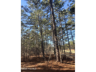 Wonderfully located lot on the 11th hole of the North golf on Forest Creek Golf Club  in North Carolina - for sale on GolfHomes.com, golf home, golf lot